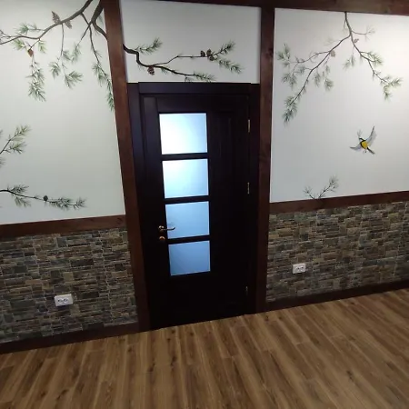 карпатська вершина 3* Jaremcze