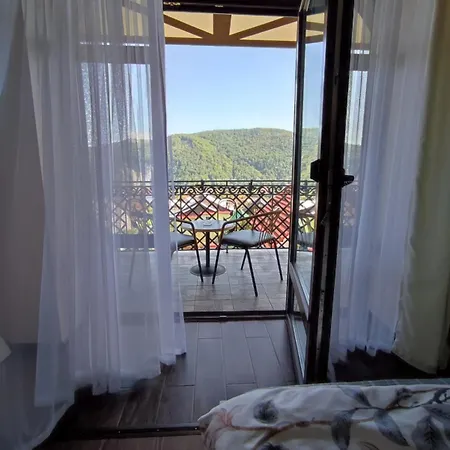 карпатська вершина Pensjonat 3*