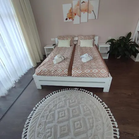 карпатська вершина Guest house *